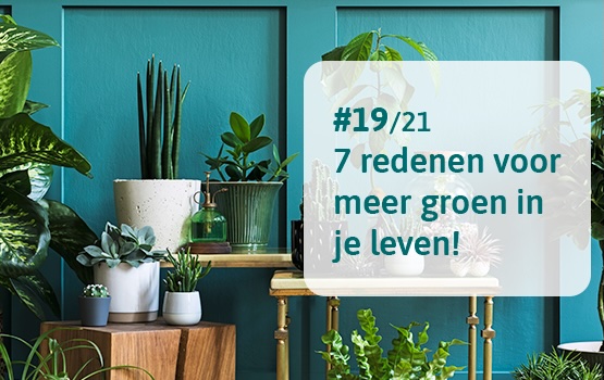 Groene omgeving positief