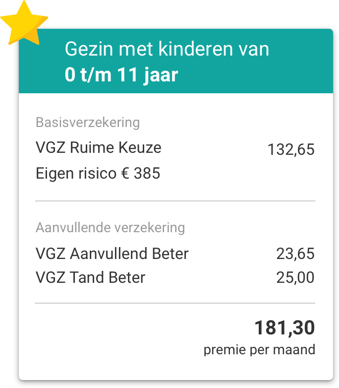 VGZ  VGZ Aanvullende Zorgverzekering 2022  Bekijk ze hier  VGZ